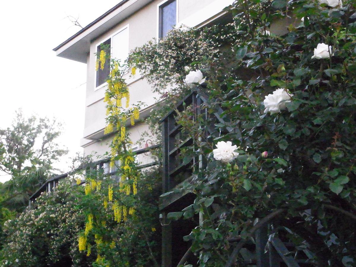 Chiisana Hotel Hanaikada Ito  Εξωτερικό φωτογραφία